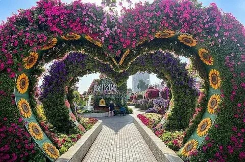 Dubai Miracle Garden